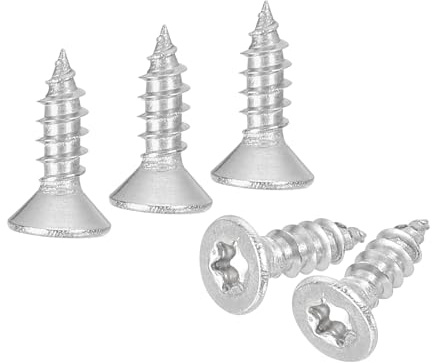 QUARKZMAN 40 st Torx skruvar platt huvud M3 x 10 mm rostfritt stål 304 självuttagande skruvar platt huvud stöldskydd hållbara Tammerfors för Bit T10 för trä staket däck (silver)