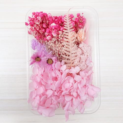 Fiori secchi, fiori secchi per fai da te, mini fiori secchi, set di fiori secchi, foglie secche miste, per arte, artigianato, decorazione, scrapbooking, rosa B