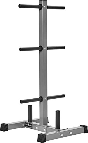 Bad Company Hantelscheiben-Ständer/Ablage mit 6 Scheibenaufnahmen und Zwei Hantelstangen-Aufnahmen für 30/31 mm Gewichtsscheiben I BCA-98 (Silber mit Stangen-Ablage)
