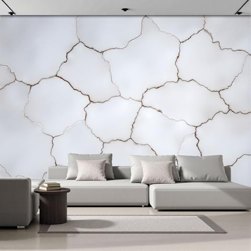 DACRWEKZ Papier Peint Panoramique Artistique 250x175cm - Revêtement Mural Décoration Chambre Salon - style minimaliste abstrait - blanc grisâtre - Mur industriel - Pour Chambre d'enfant Décoration