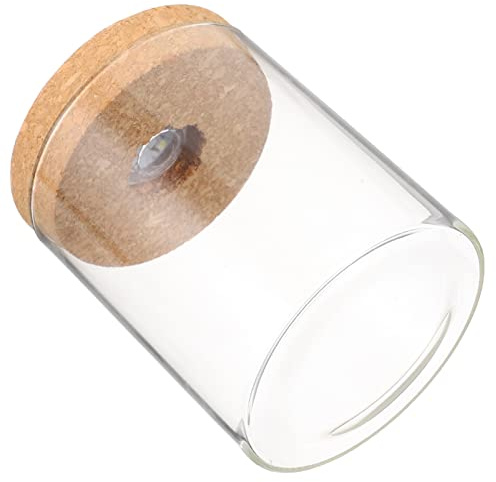 ULDIGI Bottiglia Contenitore Ecologico in Vetro Borosilicato Trasparente Cilindrica per Decorazione della Stanza e Composizioni Floreali per Paesaggi Micro DIY