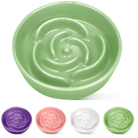 TRUVIC Ceramic Slow Feeder Dog Bowls Small Breed, 0.6 Cup Slow Feeder Cat Bowls for Fast Eaters, Ceramic Dog Food Dish no Black Chin, Puzzle Bowl for Small Dogs and Cats, Green