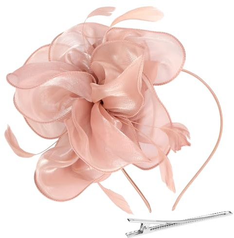 Alaoo Chapeau Fascinator Femme,Fascinateurs Floraux pour Femme, Fleur Mesh Plume Mariage Dames Day Bandeau et Clip Cocktail Tea Party Chapeau,Rose(A)