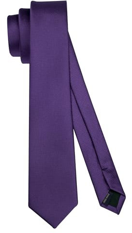 HISDERN Tie for Men 6cm Skinny Ties Purple Slim Silk Necktie Classic Wedding Party Business Work