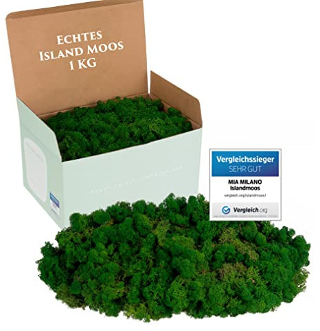 Mia Milano Islandmoos dunkelgrün konserviert | Moos Deko zum Basteln | 1kg Echtes Dekomoos Isländisch für Moosbild | Mooswand lebend