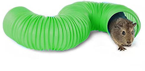 M I A Kleintiertunnel für Frettchen, Ratten, faltbarer Tunnel aus Kunststoff, für Meerschweinchen, Chinchillas, Ratten, Grün (Farbe: Grün)