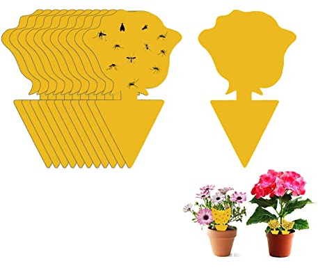 Fruit Fly Sticky Trap, 48PCS Fungus Gnat Traps Insect Trap, yellow sticker protection plant for Kitchen Indoor Outdoor Catch White Flies Mosquitos Fungus Flying Insects Houseplant (Rose)