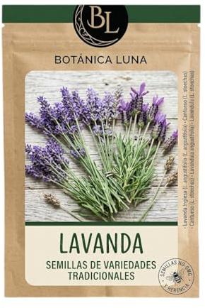 DECOALIVE Lavandula para Huerto Urbano | Semillas de Lavanda de Floración Violeta Intensa