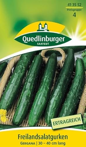 Quedlinburger 413552 Gergana Concombre à salade (graines de concombre)
