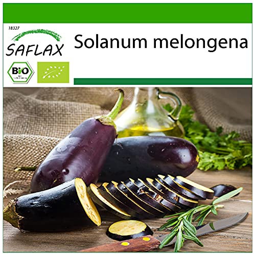 SAFLAX - BIO - Melanzana - Long Purple - 20 semi - Solanum melongena