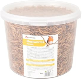 Flamingo Semillas para Pájaros – Gusanos de la harina Secos 540g comedero pájaros Exterior