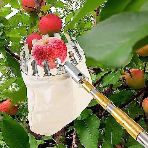 Obstpflücker-Werkzeug, Obstpflück-erntemaschine Mit Ausziehbarer Teleskopstange Und Rutschfestem Griff, Obstpflückausrüstung Für Die Ernte Von Birnen, Zitronen Und Orangen