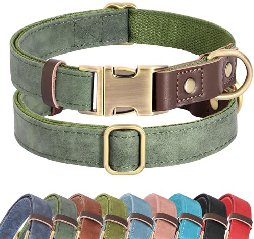 Didog PU Leather Dog Collar for Small Dogs Puppy, Soft Lining, Green S
