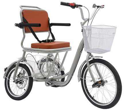 Dreirad Fahrrad Lastenfahrrad Dreiräder mit Rückenlehne und 2 Korbs Laufrad für Erwachsene Senioren ältere Herren und Damen 138x67CM Silber