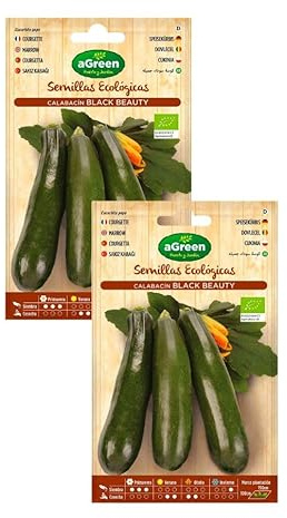 Semillas Ecológicas de Calabacín Black Beauty, Variedad Belleza Negra, Pack de 2 Sobres de 4 Gramos, Certificadas Orgánicas para Huerto
