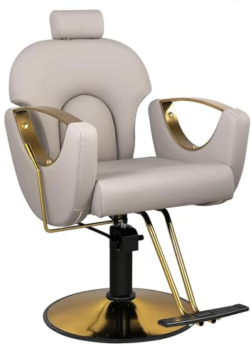 WKXTECZT Sillón Giratoria 360º con Base Fijo Y Apoyapiés, Altura Regulable, Uso Profesional para Peluquería, Tienda De Tatuaje, Salón De Belleza, Masajería,Gris