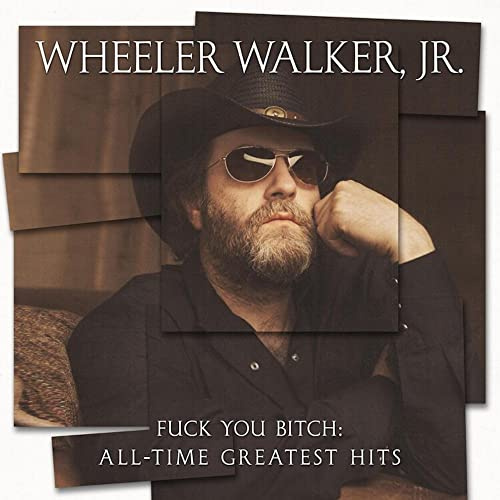 Fuck You Bitch: All-Time Greatest Hits (Standard) [Vinyl LP]