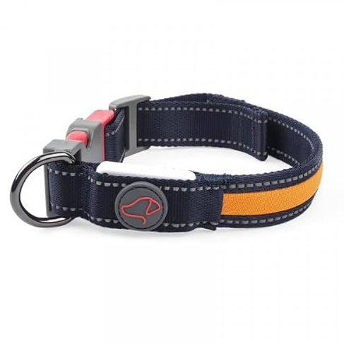 ZOON Flash & Go Rechargable Light Up Medium Dog Collar (36cm-47cm size) Visability Night Aid