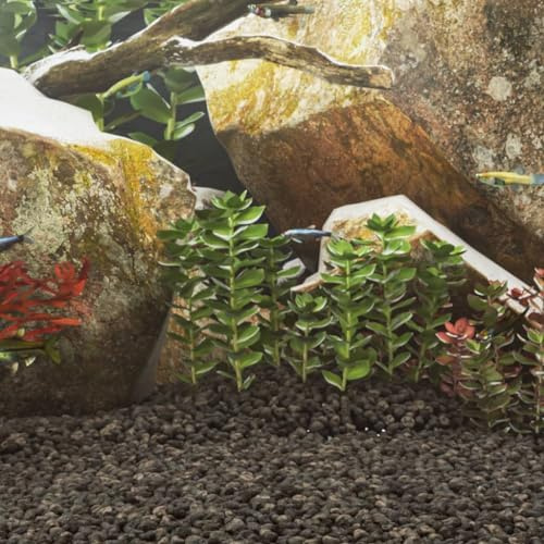 Ziaphsol Grava de basalto negra de 25 kg de 5 a 8 mm como base para acuario, sustrato y grava natural para cuencas, Aquascaping, suelo de plantación, camarones y peces