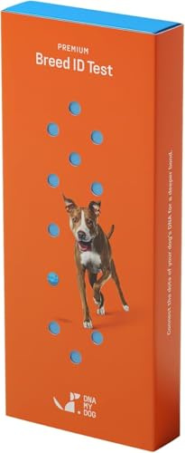 DNA My Dog Test d'identification de race premium | Précision de 99 % | Analyse ADN de plus de 360 races de chiens | Test d'âge génétique canin | Exécution la plus rapide en moins de 3 semaines |