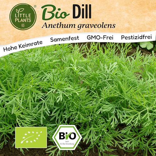Little Plants BIO Dill Samen 500 Dill Kräutersamen für Kräutergarten Hochbeet Samenfest Kräuter Samen für Küche, Balkon und Garten Küchenkräuter