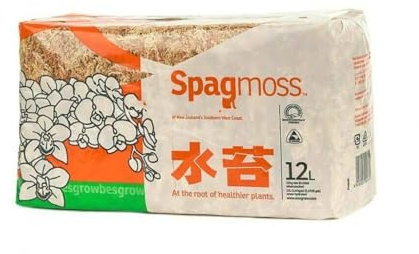 Garden Center Shop | Musgo Sphagnum Classic 150 g | Cubre Sustrato Trasplantado | Retención de Humedad Natural | Ideal Bonsáis y Plantas