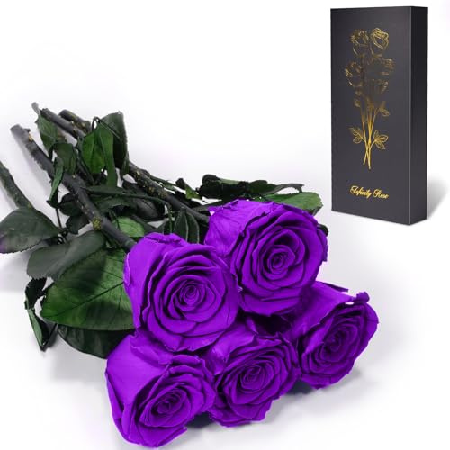 Yamonic Rosa Eterna Regalos para Mujer, Rosa Preservada con Tallo Regalo Cumpleaños Mujer, Flores Preservadas Regalos Madre, Rosa Eterna Natural Preservada Regalo Navidad San Valentín,5 Rosas