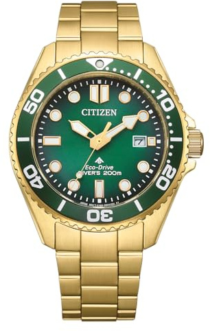 Citizen Promaster Eco-Drive Diver BN0262-59W