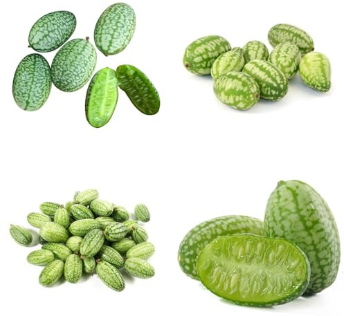 semi di anguria pollice comprare da frutto semi di per il giardino esotico da giardino roccioso serre balcone frutto colonnare colonnari nani, 50pcs