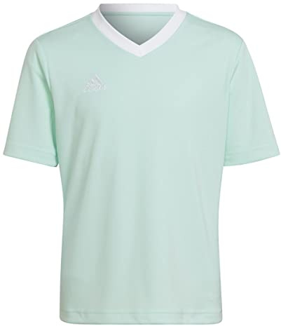 adidas Unisex Kids Entrada 22 Jersey, Clear Mint, 7-8 Years