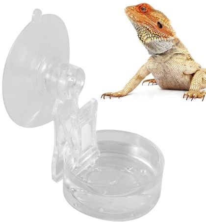 Gecko Mat Skål Liten Reptilmatare Med Sugkopp | Husdjursbricka För , Enkelt Att Rengöra Vattenbehållare Till Balkong, Vardagsrum Och Trädgård