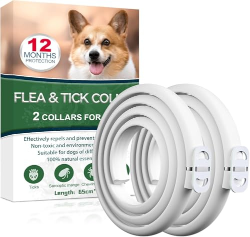 Paistely Collier Anti Puces pour Chien, 12 Mois De Protection Efficace, Collier Anti Tique Chien, Réglable Et Étanche, Convient Aux Chiens De Toutes Tailles (65cm*2)