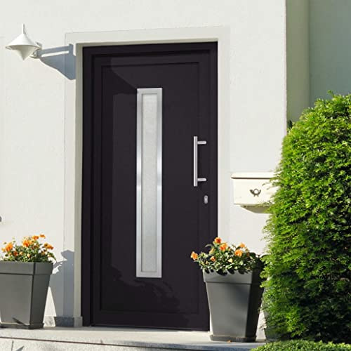 INLIFE Puerta de entrada antracita 98 x 190 cm, 47,15 kg, 279242