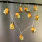 Riaxuebiy Katze Form Lichterketten Batteriebetriebene Chinchilla Lichterketten für Garten Kinder Schlafzimmer Weihnachtsbaum Weihnachts Dekoration (Grau Totoro)
