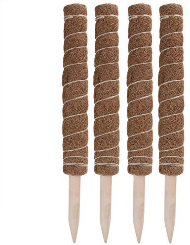 SYH&AQYE Poteau de Mousse, Support de Plante Monstera pour Plantes d'Intérieur, Bâtons de Poteau de Mousse de Coco pour Plantes Vivantes en Pot Grimpantes, Pothos, Philodendron