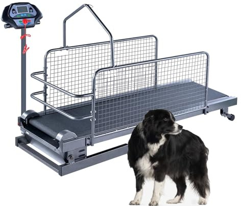 Löpband för hund, löpband för medelstora/stora hundar, med display, upp till 220 kg, lämplig för djuraffärer