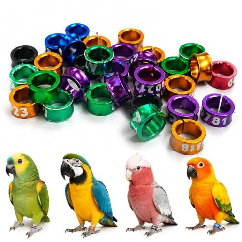 ZHITENG 50 Pièces Bague Pigeon, Pigeon Anneaux pour Oiseaux de 6MM | Anneaux Ouverts Bagues D'identification pour Oiseaux, Bague Poule pour Oiseau, Perroquet, Colombe (Couleurs Mélangées)