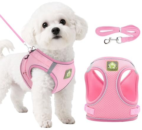 DOINEUFL Puppy Harness, Dog Harness and Leash Set, Soft Mesh Reflective Breathable Lightweight Vest-Style Dog Harnesses with Safety Buckle for Small and Medium Dogs, Cats, Puppies (Pink, XS)