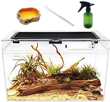 Reptile Growth Terrarium Komplettset, 16 x 8x 10 Faunarium für,Schnecken,Insekten,Wasserschildkröten，Vogelspinnen,Springspinne,Leopard Gecko,Bärtiger Drache ，Frosch,Aquarium,Einsiedlerkrebs