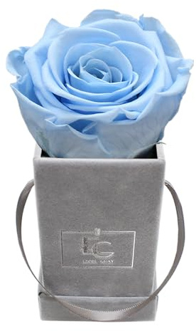 Emmie Gray Classic Infinity Rose | Velvet Gray | Fyrkantig blomlåda – Infinity rosor i grå sammetslåda – 1–3 års hållbarhet – riktiga rosor som blommar i flera år (babyblå)