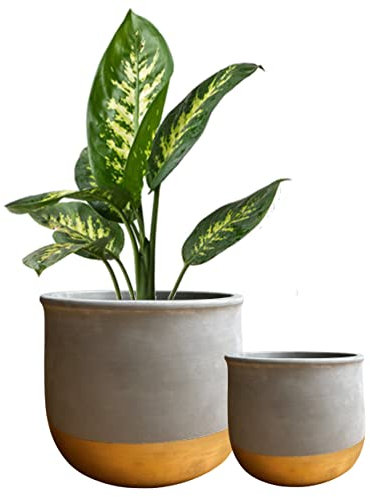 Olly & Rose Gold Dip - Juego de 2 macetas de cerámica para Interiores de 17 cm + 12 cm, macetas de cemento para Exteriores