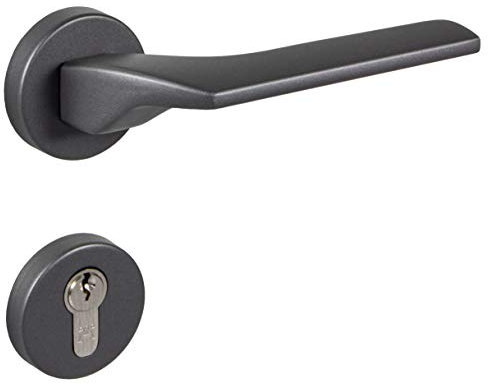 JUVA Gedotec Stainless Steel Door Handle - Aloe Model Internal Door Handle Sets Fitting on Round Rosette for Doors 35-47 mm - Quality Door Handles - Anthracite Matte Black - Cylinder