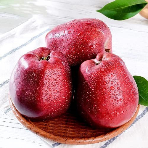 CHTING 50 Pezzi Di Semi Di Mela Rosso Scuro Non Richiedono Molta Manutenzione Adatti Per La Semina In Serra Creando Diverse Atmosfere Eleganti Preferite Dai Bambini