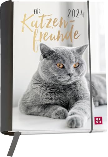 Buchkalender 2024: Für Katzenfreunde: Wochenkalender mit 12 Postkarten (Terminplaner für die Handtasche) mit Leseband, Spiralbindung, Gummiband und Einstecktasche