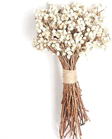 Ericetion 20 Pcs/Jeu De Coton Naturel Boules De Coton Séchées Plantes De Fleurs Sèches Vrais Fruits Blancs Bouquet De Fruits Fleurs Décoratifs Bricolage Mariage Décoration De Mariage, Blanche