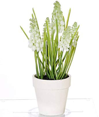 artplants.de Giacinto Artificiale Arabella in Vaso Decorativo, Crema, 25cm, Ø2-3cm - Giacinto Finto - Pianta Finta