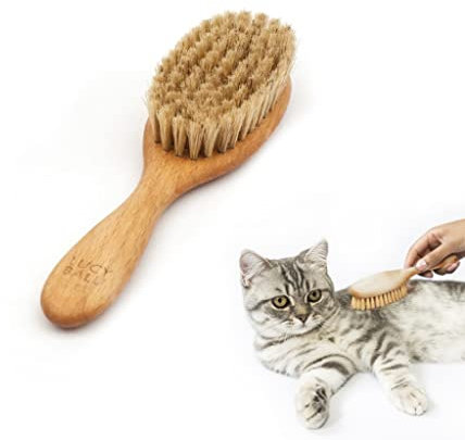 LucyBalu® Katzenbürste für Kurz- & Langhaar | Fellbürste | Katzenkamm zur Fellpflege | Tierhaarbürste | Katzenhaarbürste mit Naturborsten & Holzgriff | Geölt