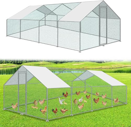 Cecaylie Pollaio 24 m² 3 x 8 x 2 m per galline da esterno, con serratura e porta, in metallo, per pollame, per piccoli animali
