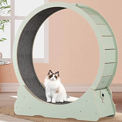 Kattövningshjul löpband för små djur – fitness viktminskningsanordning, inomhus löparhjul, husdjursleksak