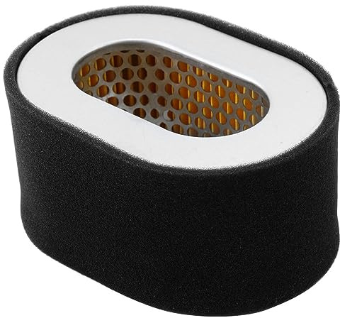 Risegun Filtro Olio Combustibile di Ricambio in Acciaio Inossidabile 1PC per Motore Generatore 186